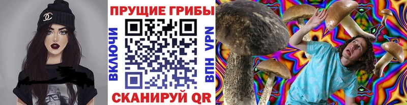 гидра маркетплейс  даркнет состав  Тайшет  Галлюциногенные грибы Cubensis  купить закладку 